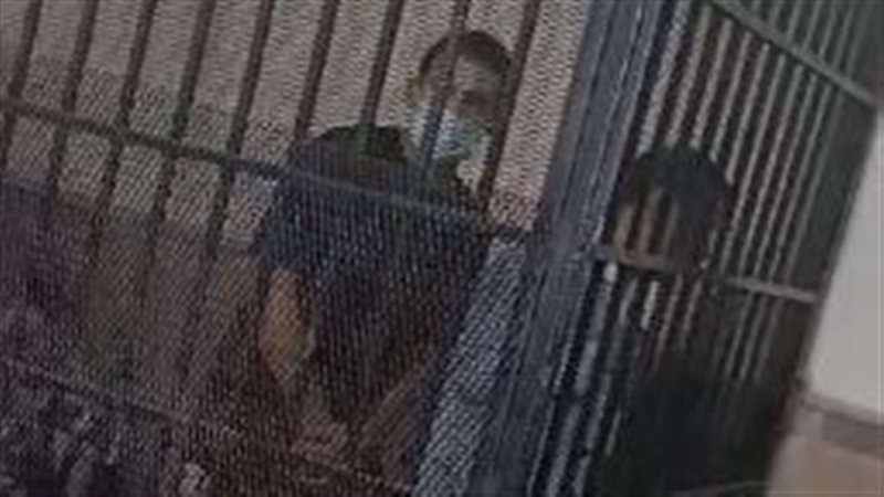 أحمد ياسر المحمدي،