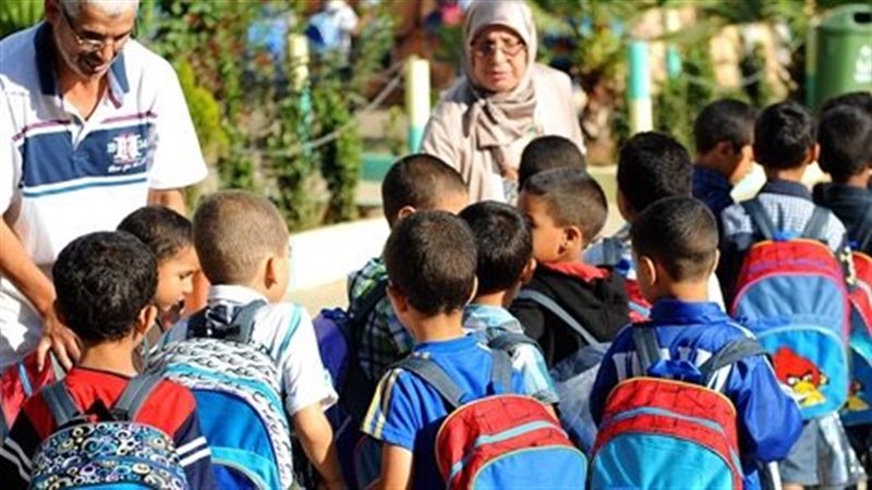 الدراسة , فيتو