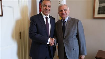 وزير الخارجية: مصر تشهد تطورا كبيرا على صعيد الحريات الدينية والمدنية