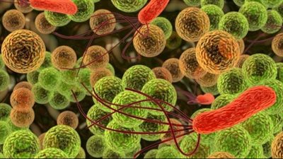 الملاريا والكوليرا والبلهارسيا، الأعراض والأسباب وطرق العلاج والوقاية منهم