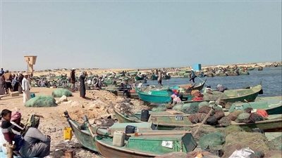 مصدر بـ الزراعة: المشروع الهولندي لاستعادة التنوع البيولوجي بسيناء كلام نظري