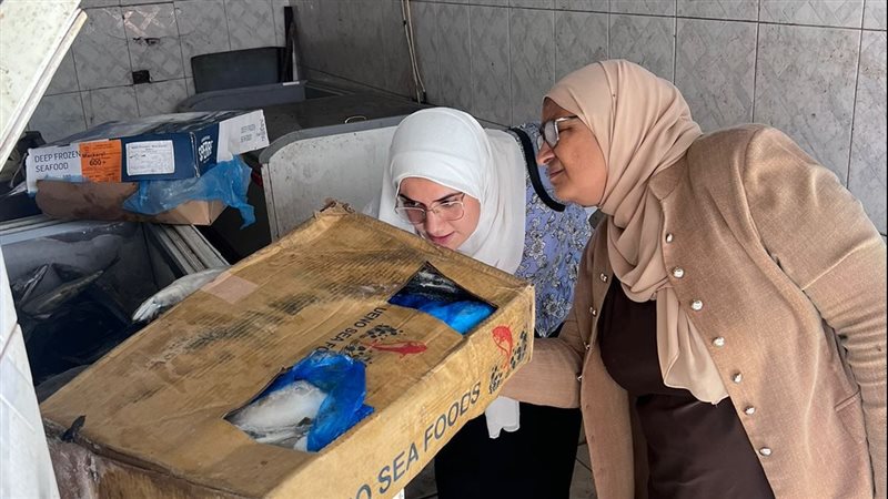 حملات تموينية بالدقهلية،