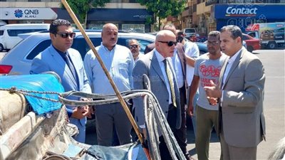 حملة مكبرة لضبط عربات الحنطور المخالفة في الأقصر (صور)