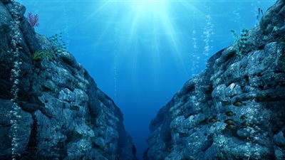 نداء الحيتان،الذكاء الاصطناعي يكشف لغز الأصوات الغامضة بالمياه العميقة بالمحيطات