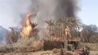 اندلاع حريق بإحدى مزارع النخيل في قرية القصر بالوادي الجديد