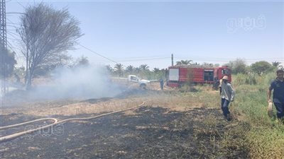 4 سيارات إطفاء تحاول السيطرة على حريق القصر بالوادي الجديد