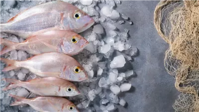 تفسير رؤية السمك الصغير في المنام وعلاقته بالحصول على المال من مصادر حلال