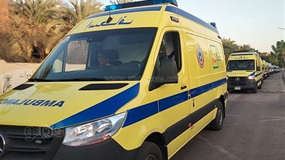 إصابة 11 شخصًا إثر حادث تصادم بالوادي الجديد