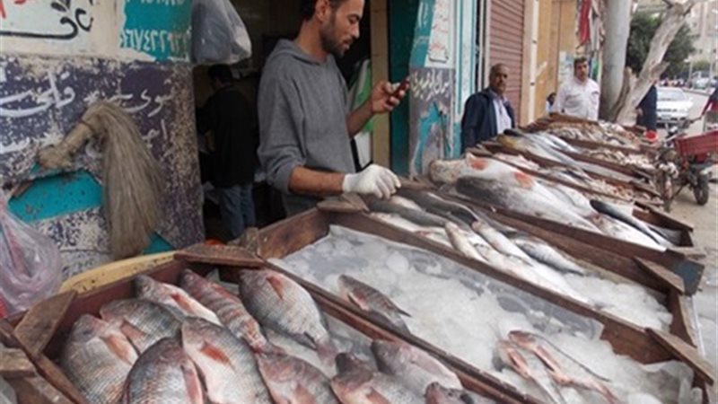 أسعار الأسماك والجمبري