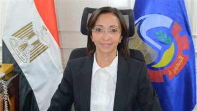 محافظ البحيرة تقيل مدير مشروع الرصف الإنتاجي