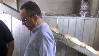 إحالة 150 محضر مخالفات تموينية في الدقهلية للنيابة العامة (صور) 