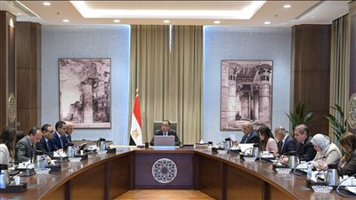 رئيس الوزراء يبحث آلية تعديل حدود الكربون لتعزيز تنافسية الصادرات المصرية