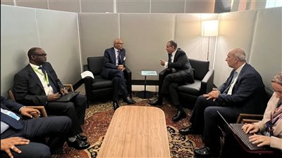 ناقشا الأمن المائي، وزير الخارجية يلتقي نظيره السوداني