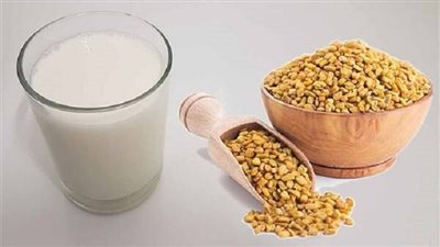 فوائد الحلبة باللبن، مشروب غني بالبروتين والعناصر المهمة يجب تناوله يوميا 