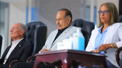 اتحاد اليد: اللجنة المؤقتة مستمرة في عملها ولا نية لتعيين أعضاء جدد