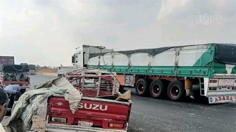 حوادث الطرق، فيتو
