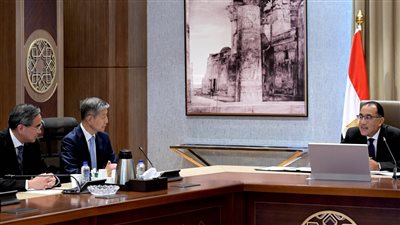 مدبولي لرئيس مجموعة 