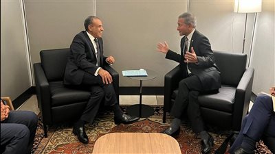 وزير الخارجية يؤكد لنظيره السنغافوري حرص مصر علي تعزيز العلاقات الثنائية (صور)