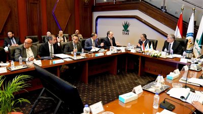 وزير البترول يعتمد الجمعية العمومية لشركة بتروجاس