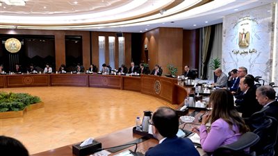 مدبولي: نستهدف أن تكون مصر رائدة في إنتاج وتصدير الهيدروجين الأخضر