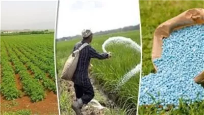 انخفاض كبير في أسعار الأسمدة بالأسواق