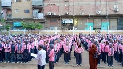 التعليم: انتظام الدراسة بمدارس الخصوص في القليوبية (صور)