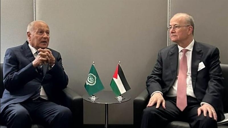 أحمد أبو الغيط ووزير
