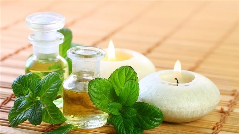 زيت النعناع وفوائده
