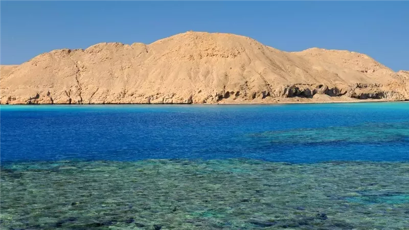 رأس بناس، فيتو