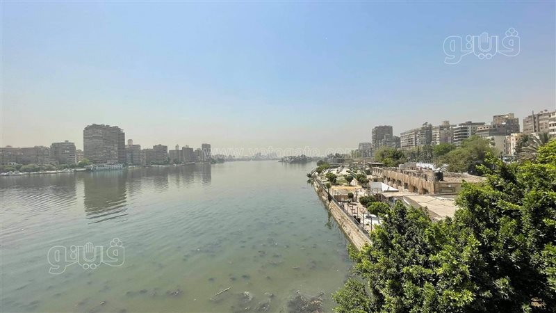حالة الطقس غدا، فيتو