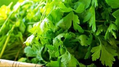 فوائد الكرفس والبقدونس، لإنقاص الوزن وخفض الكوليسترول وتعزيز صحة القلب 