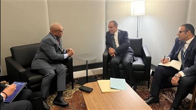 وزير الخارجية يبحث التعاون مع سكرتير عام منظمة الدول الثماني الإسلامية 