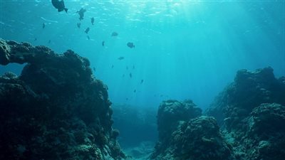 المحيطات تحتفظ بذاكرتها لمدة تتراوح بين عقد وعقدين