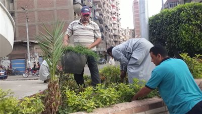 محافظ الغربية: زراعة الأشجار لإظهار المحافظة بشكل جمالي وحضاري يليق بها