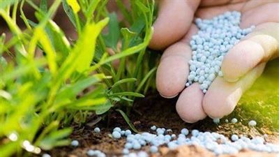 حماية المستهلك: ضبط مبيدات زراعية منتهية الصلاحية بالغربية