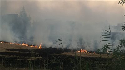 إجراءات جهاز شئون البيئة بالشرقية للقضاء على السحابة السوداء 