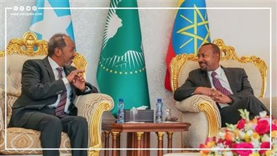 قوة تحركات القاهرة، أرض الصومال توجه ضربة موجعة لـ أديس أبابا