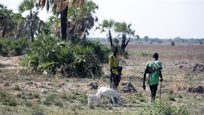 خبير يكشف الأطماع الإثيوبية في منطقة القرن الإفريقي