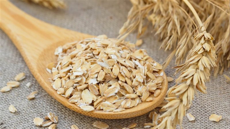 أسعار الشوفان اليوم،