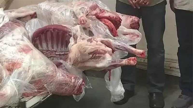 ضبط أربع ذبائح ضأن