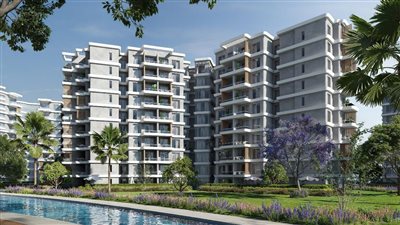 شركة بالم هيلز تطلق 