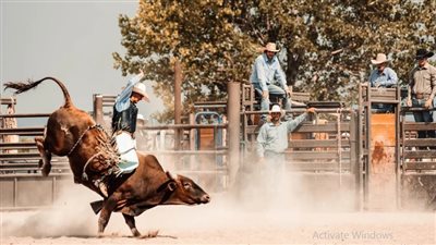 ثور هائج يقتل ويصيب عددا من الأشخاص في إسبانيا 