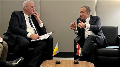 وزير الخارجية يؤكد لنظيره الأوكراني دعم مصر جهود إنهاء الحرب بالطرق الدبلوماسية