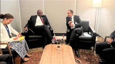 فرص واعدة للاستثمار بمصر، تفاصيل لقاء وزير الخارجية مع نظيره بالمملكة المتحدة