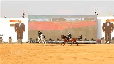 25 صورة ترصد فعاليات الدورة الـ28 لمهرجان الخيول العربية بالشرقية