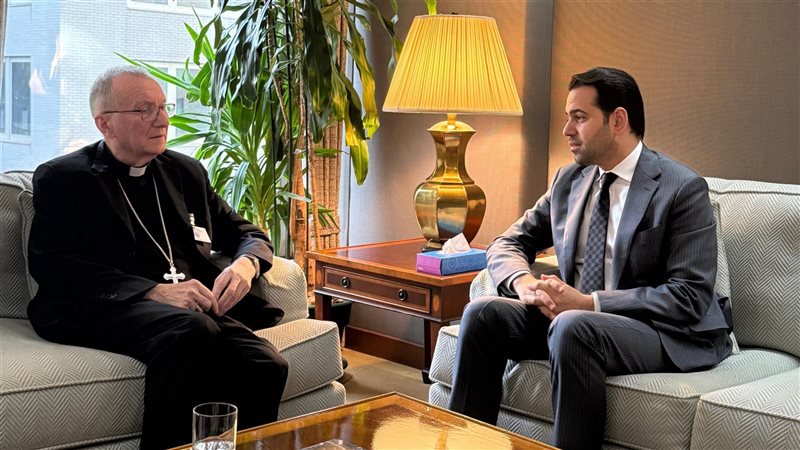 المستشار محمد عبد