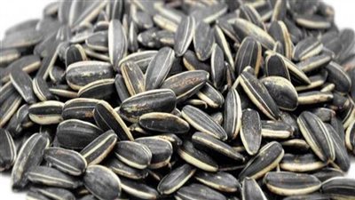  يخفض الكوليسترول ويزيد من جمال البشرة والشعر، فوائد اللب السوري