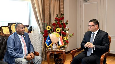 وزير الإسكان يبحث نقل التجربة العمرانية المصرية للصومال 