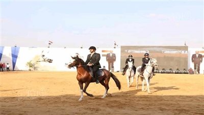 انطلاق فعاليات اليوم الثاني لمهرجان الخيول العربية في الشرقية (صور)