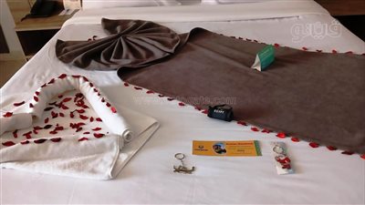 محافظ أسوان يكلف بتوزيع هدايا تذكارية لنزلاء المراكب السياحية والفنادق (صور)